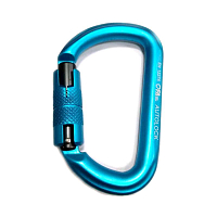 Карабін First Ascent 7003 Autolock